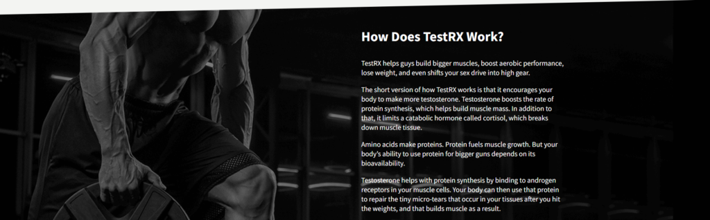 How Does TestRX Work?